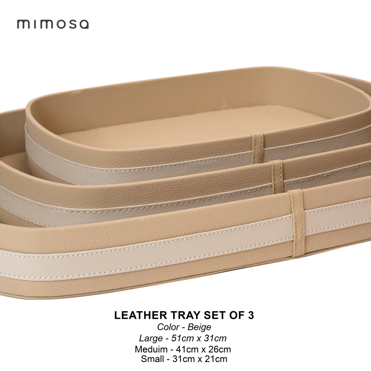 LEATHER TRY OVAL SET OF3 with acrylia cover