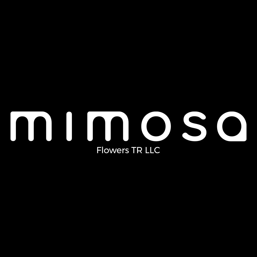 Mimosa Trading s mimosa-trading-s