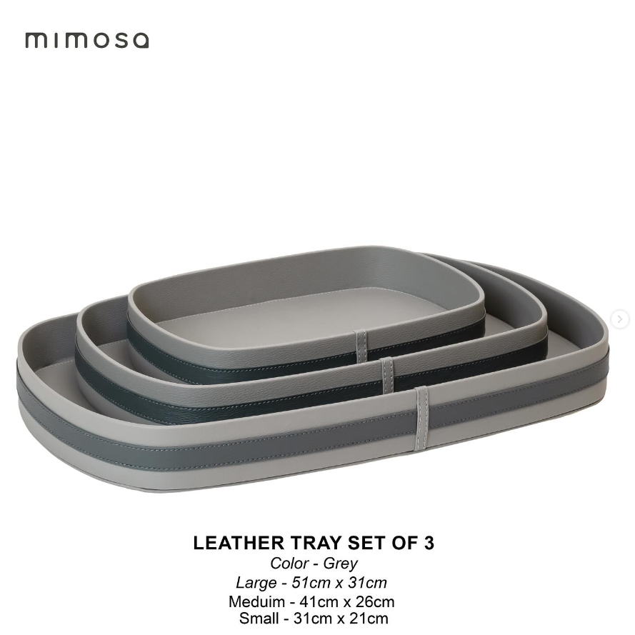LEATHER TRAY set of 3