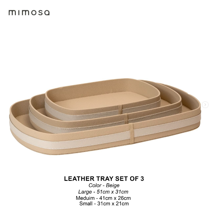 LEATHER TRAY set of 3