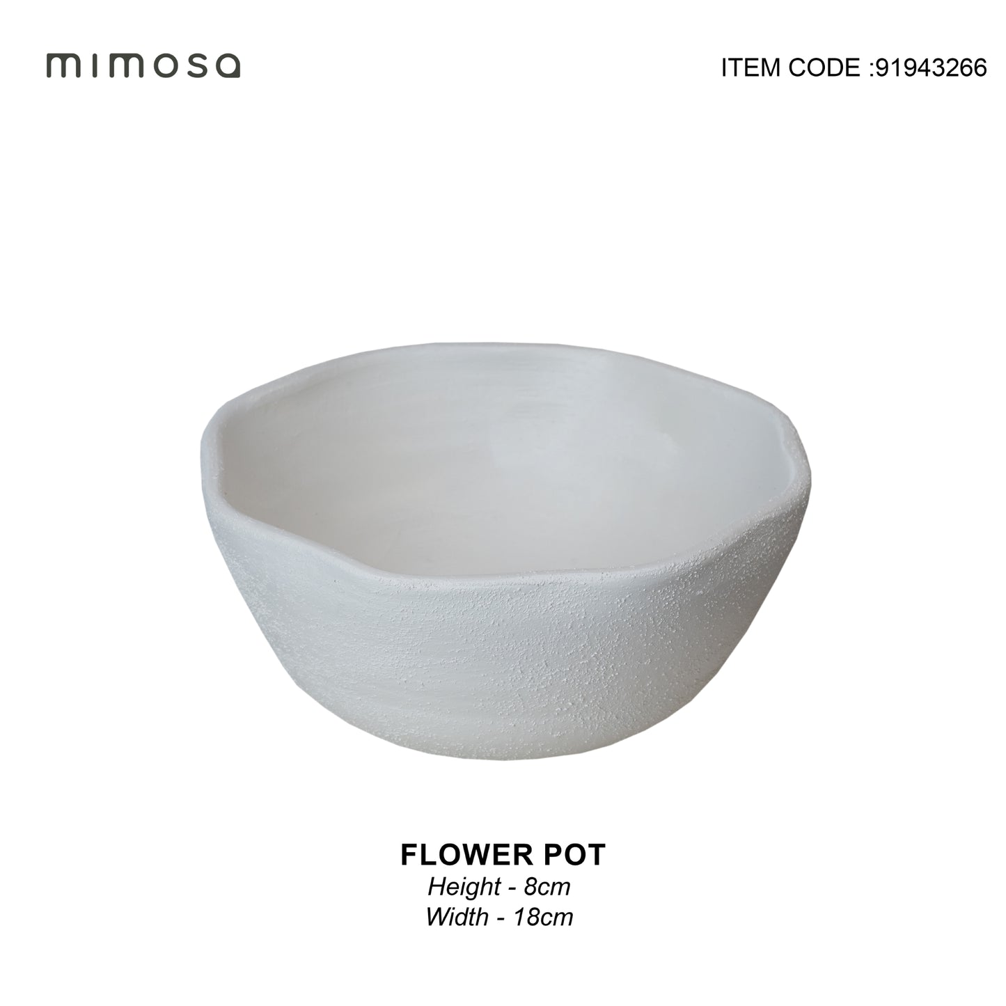 POT WHITE DISH SMALL 8X18