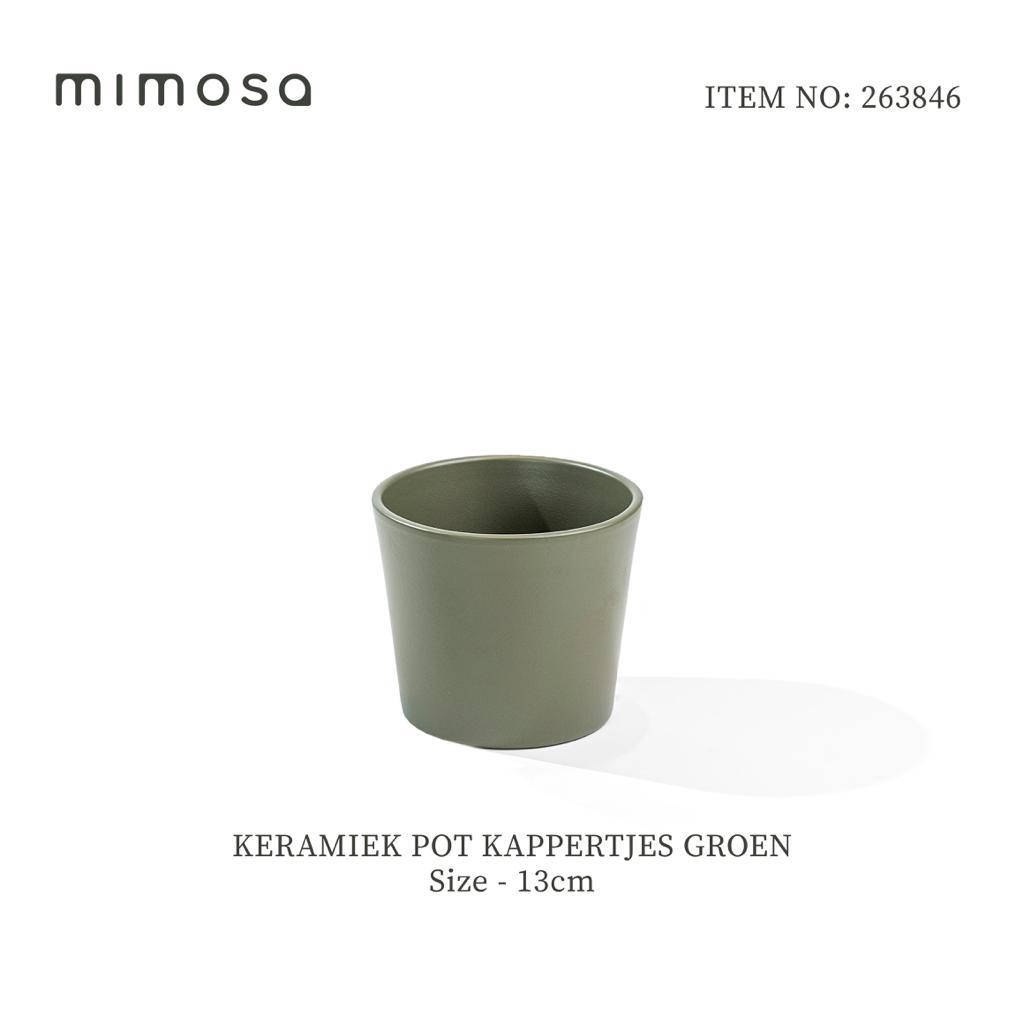 Pot 263846