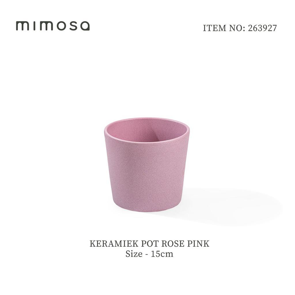 Pot 263927