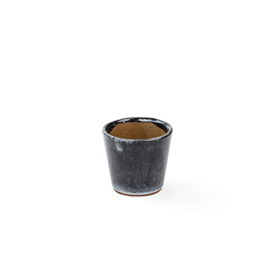 Pot 201231