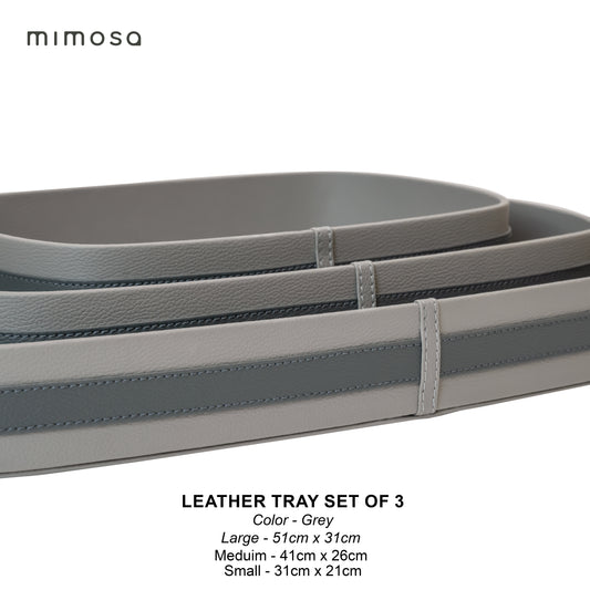 LEATHER TRY OVAL SET OF3 with acrylia cover
