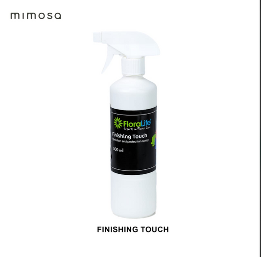 FINISHING TOUCH