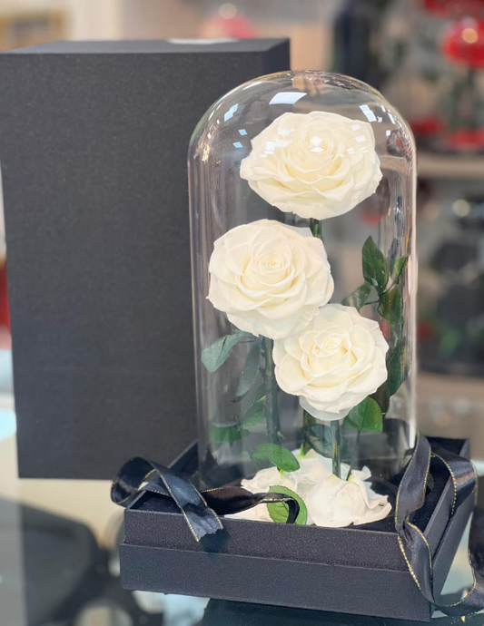 INF ROSE 3PCS WHITE