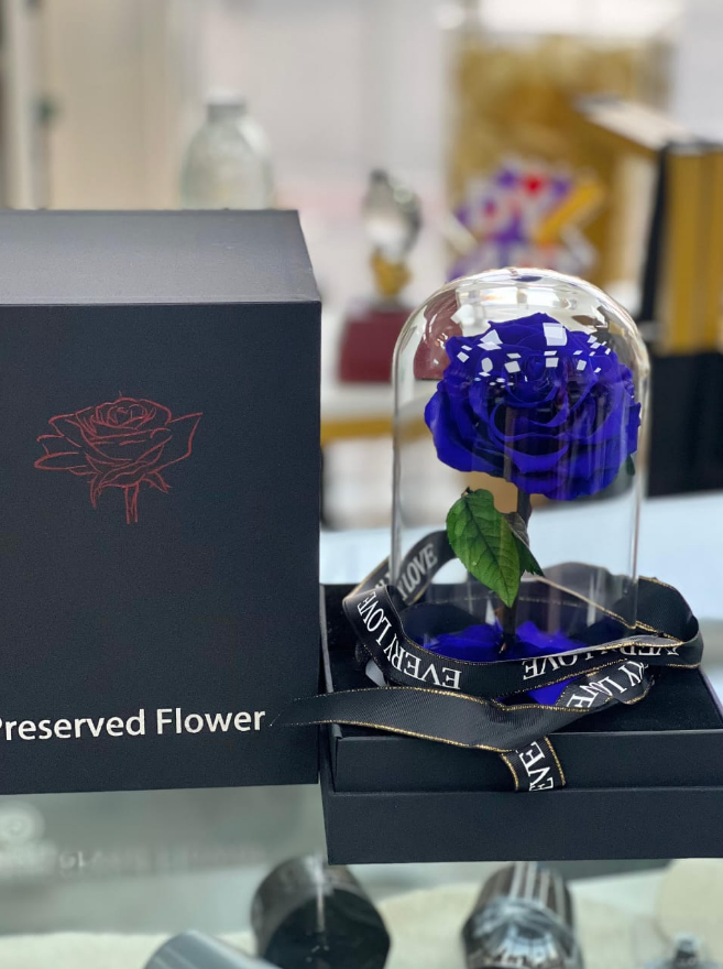 INF ROSE BLUE
