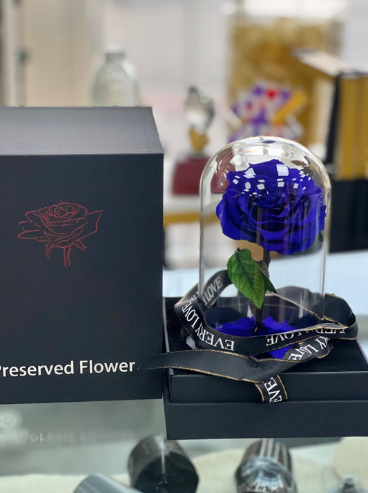 INF ROSE BLUE