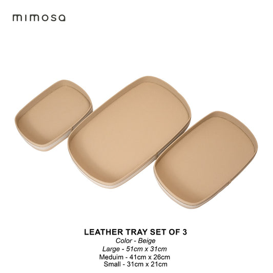 LEATHET TRAY SET OF 3