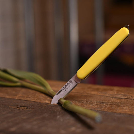 Oasis Hooked Folding Knife