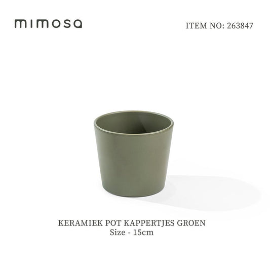 Pot 263847