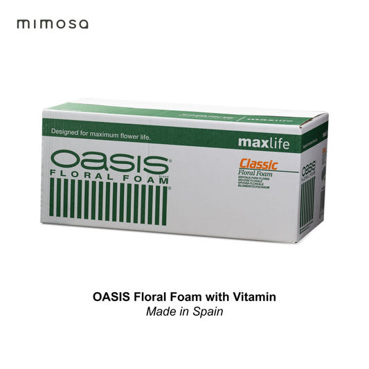 Foam Oasis Max Life  Spain