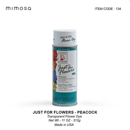 Design Master Spray